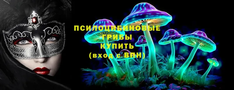 hydra ССЫЛКА  нарко площадка формула  Темников  Галлюциногенные грибы Psilocybe  как найти  